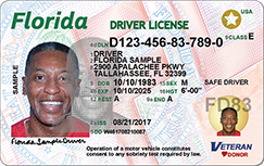 Real ID Compliant Sample